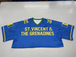 Load image into Gallery viewer, St Vincent Cropped Jersey
