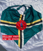 Load image into Gallery viewer, Dominica Flag Printed Halter Crop Top
